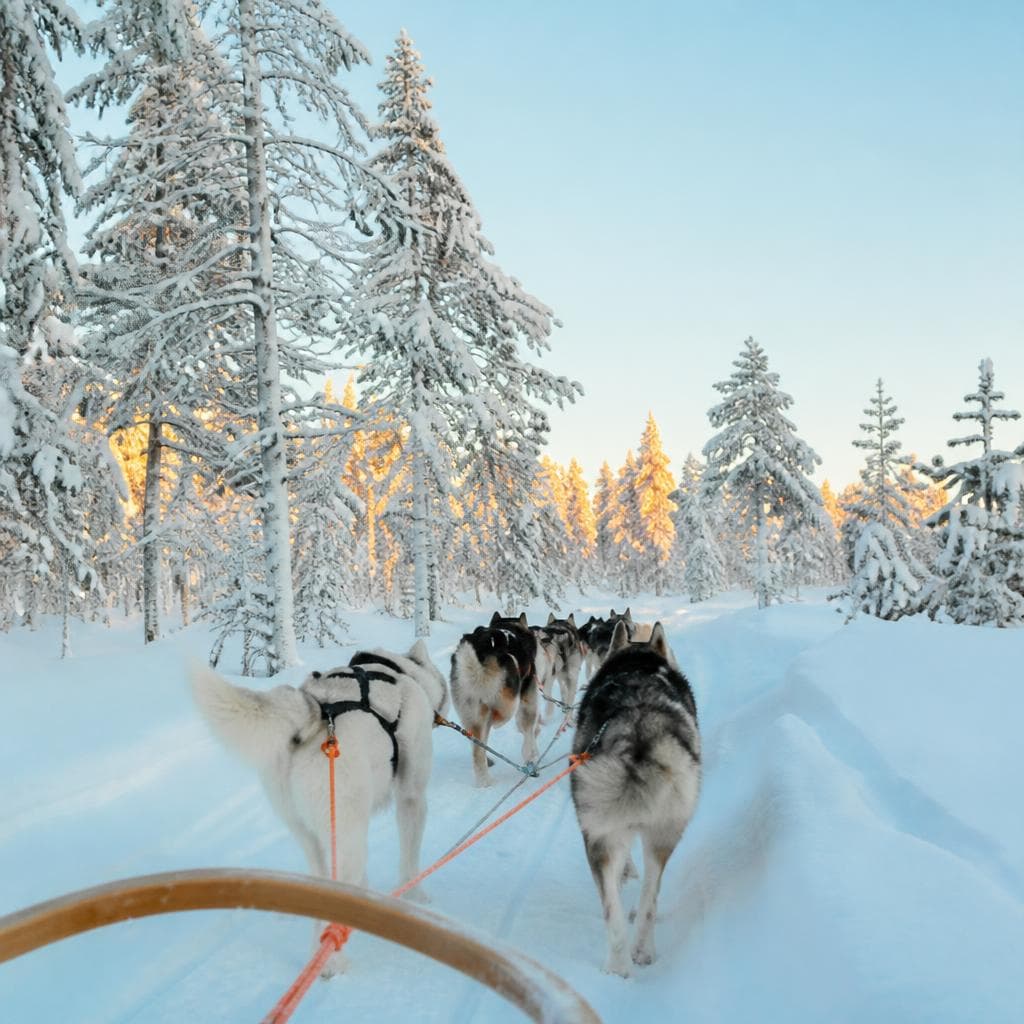 Lappland Standort-Rundreise – Park Hotel Tornio, 6 Tage – Lidl Reisen
