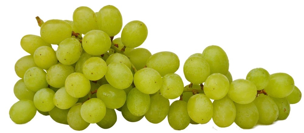 Trauben 1 kg Angebot bei Penny