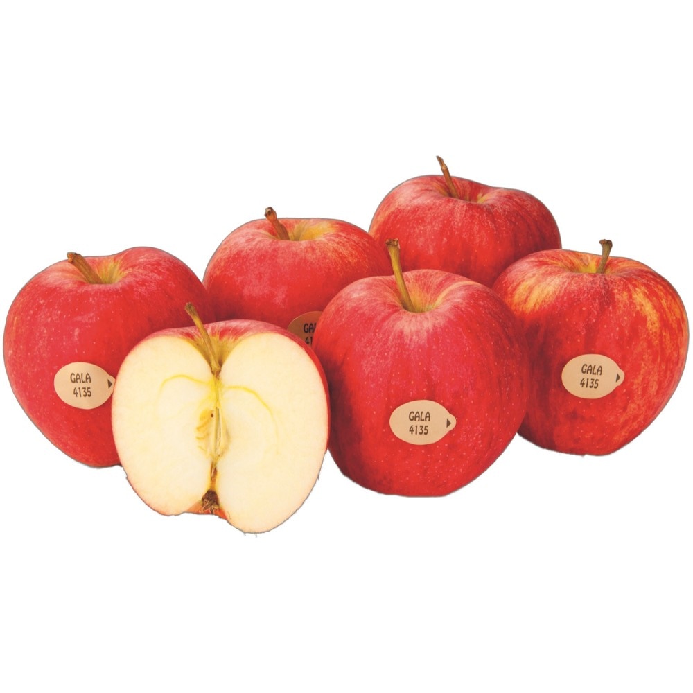 Äpfel Gala per kg Angebot bei Adeg
