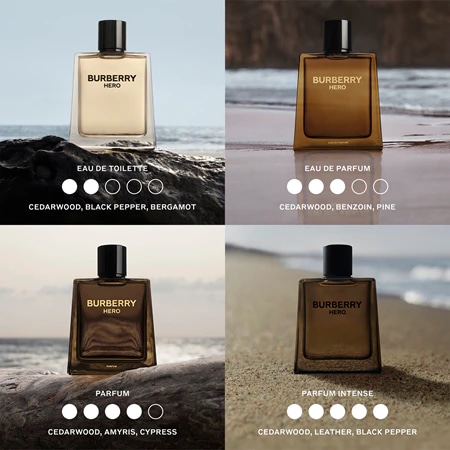 Burberry Hero Eau de Toilette 50 ml Angebot bei Müller