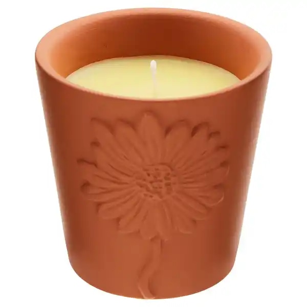 Home Creation Terrakotta Citronella Kerze Angebot bei Hofer