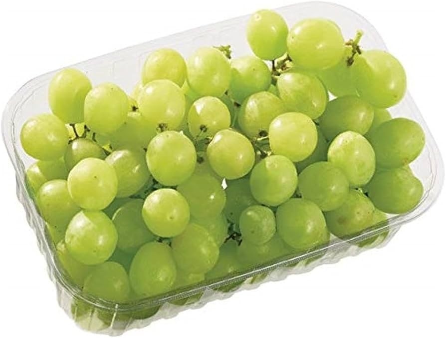 Bio Trauben hell kernlos Je 500 g Angebot bei Lidl