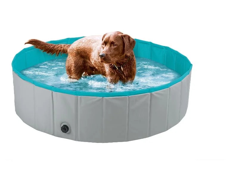 ZOOFARI Hundepool Angebot bei Lidl