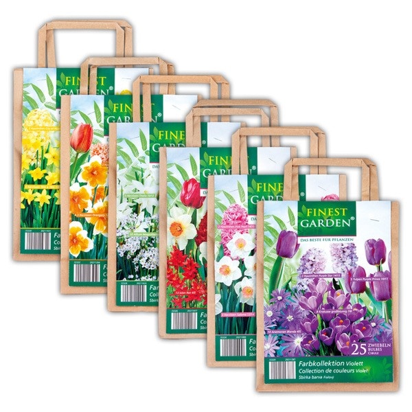 Blumenzwiebeln „Farbkollektion“ Angebot bei Norma