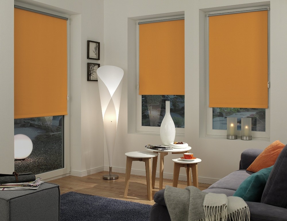 Verdunkelungsrollo „Sarah“ ca. 45x150 cm Angebot bei Möbelix