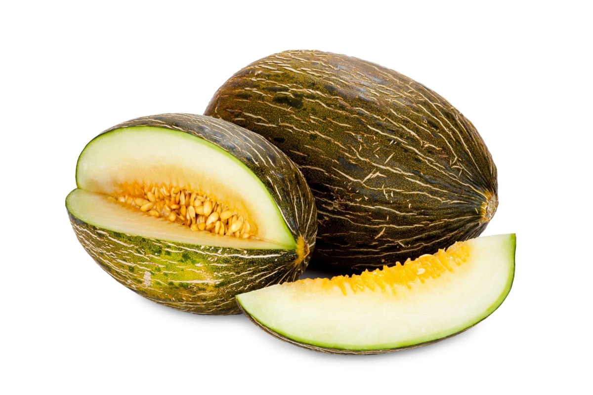 Zuckermelone Piel de Sapo Je kg Angebot bei Lidl