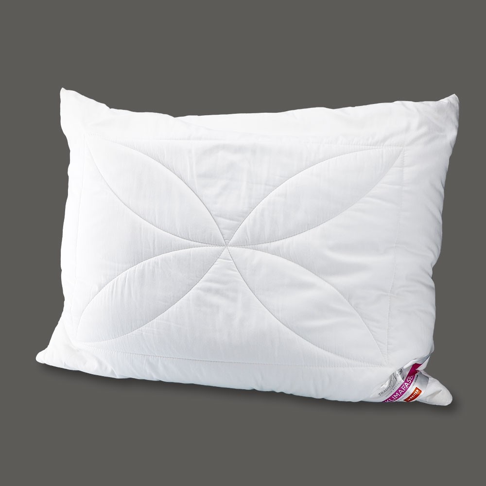 Polster Aloe Vera RUBIN Angebot bei Maximarkt