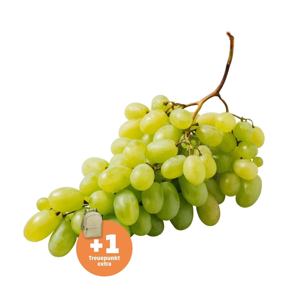 Trauben Weiß mit Kern 1 kg Angebot bei Penny