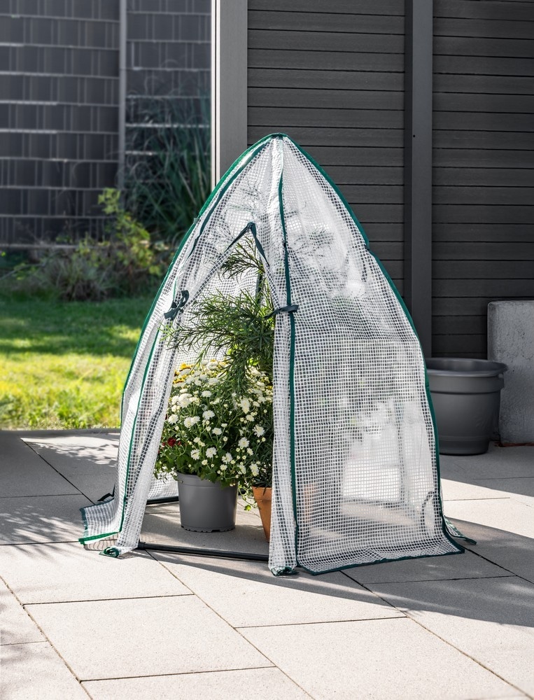 Power Garden Winter-Gewächshaus ca. 90x100 cm Angebot bei Norma