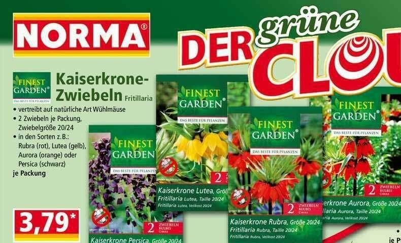 Kaiserkrone 2 Zwiebeln je Packung FINEST GARDEN Angebot bei Norma