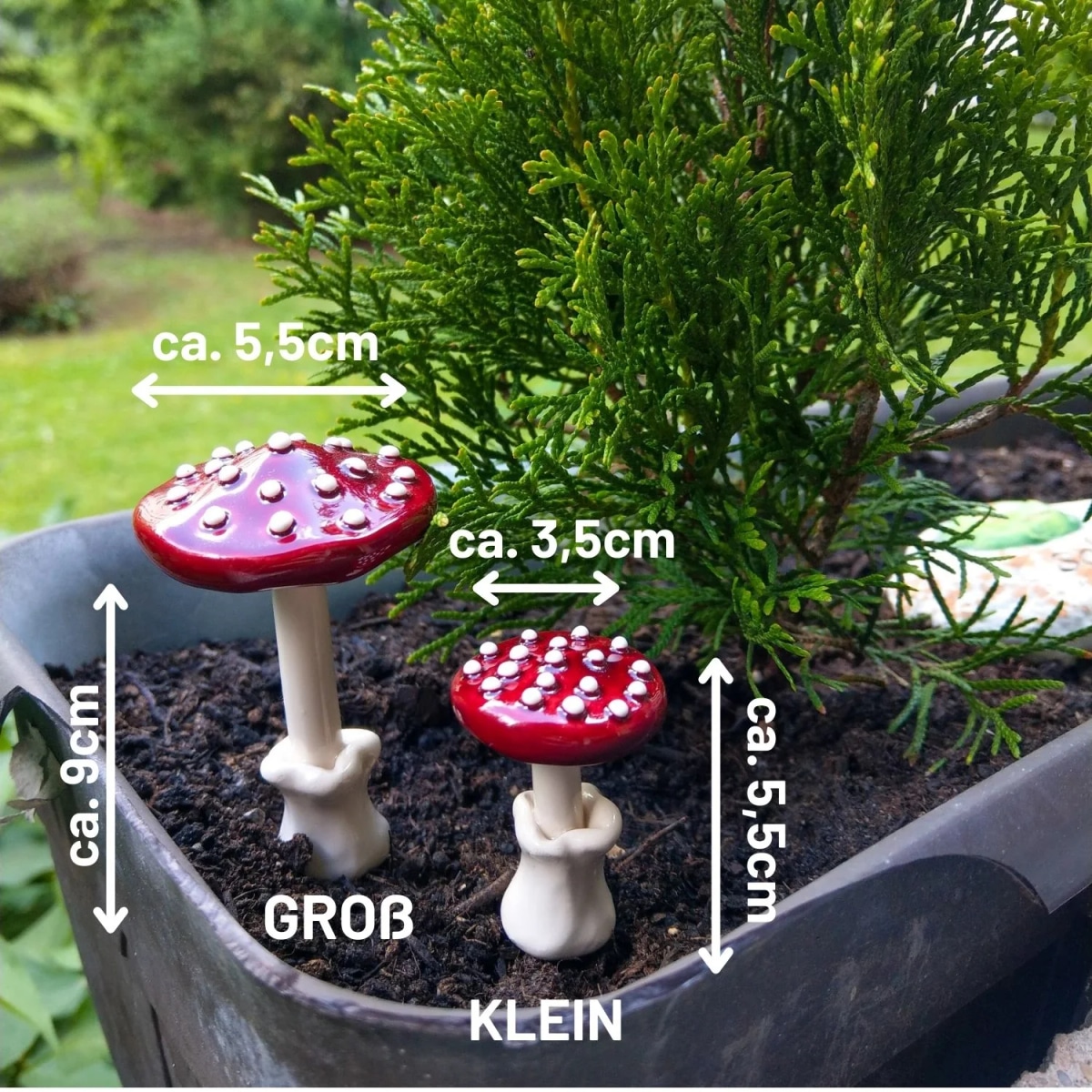Fliegenpilz ca. 7 cm Angebot bei Norma