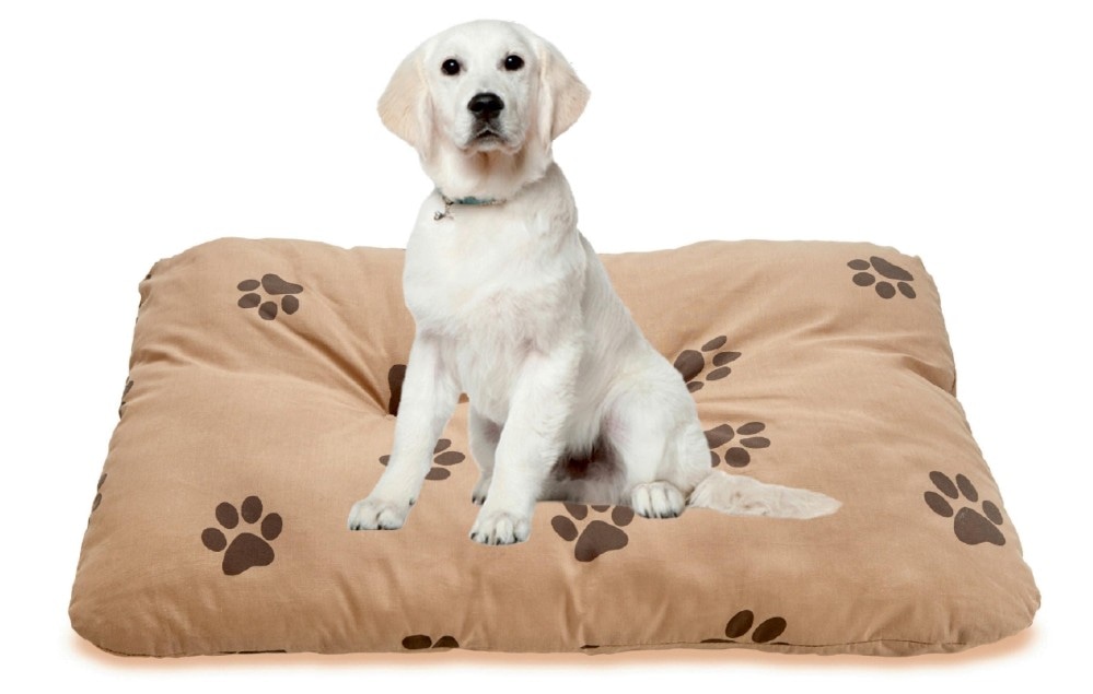 Hundekissen Sissi ca. 70x100 cm ondega Angebot bei Möbelix
