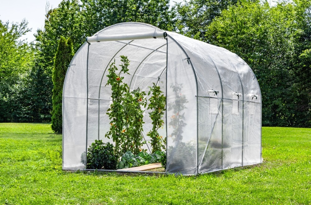Garten & Freizeit Tunnelgewächshaus ca. 300x300x200 cm Angebot bei Norma