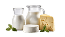 Kategorie - Milchprodukte & Eier