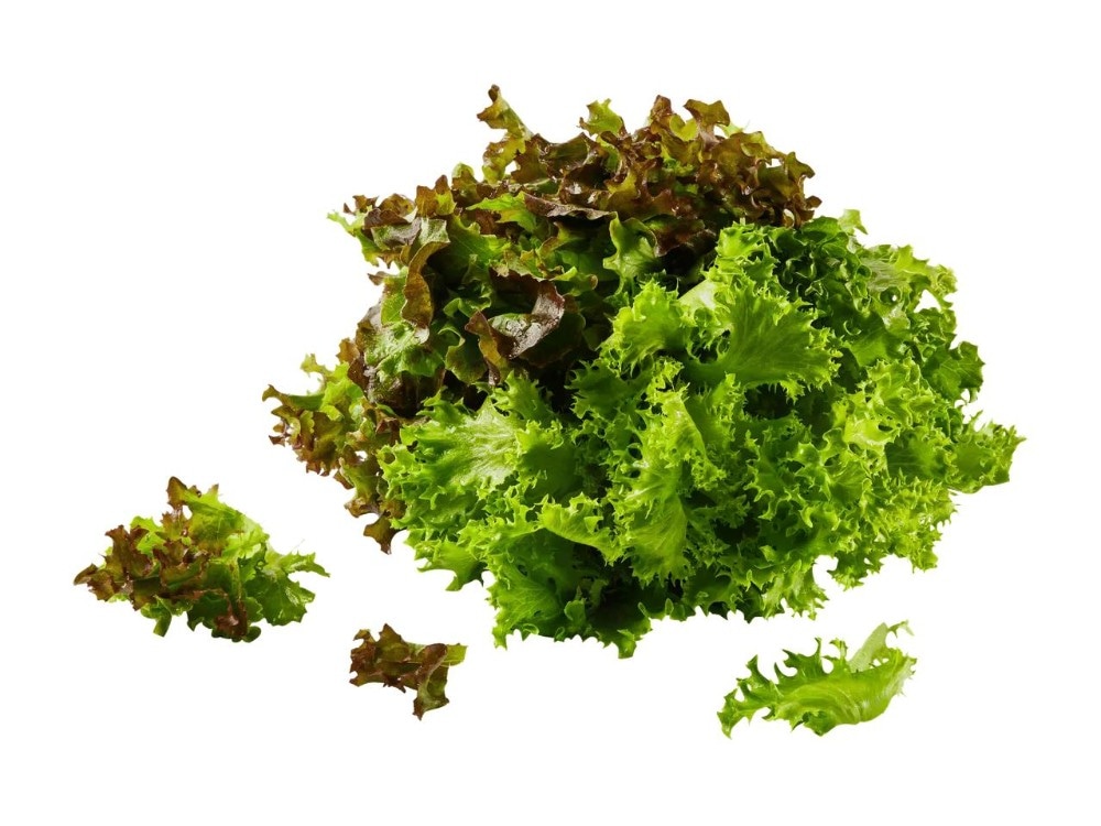 Multicolor Salat mit Wurzeln 1 Stk. Angebot bei Lidl