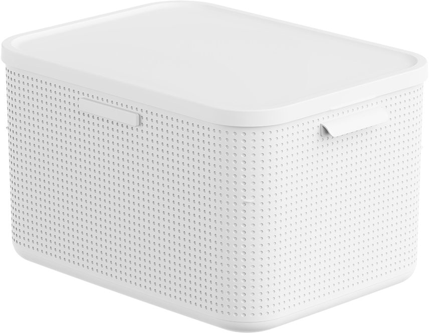 Rotho Aufbewahrungsbox mit Deckel XL »Lisora« Angebot bei Interspar