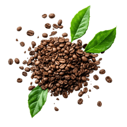 Kategorie - Kaffee & Tee