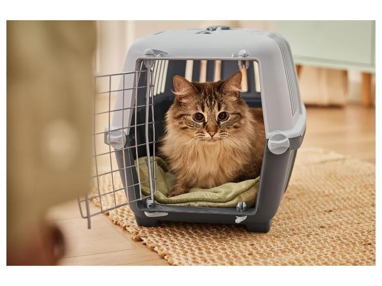 Katzentoilette/-transportbox zoofari Angebot bei Lidl