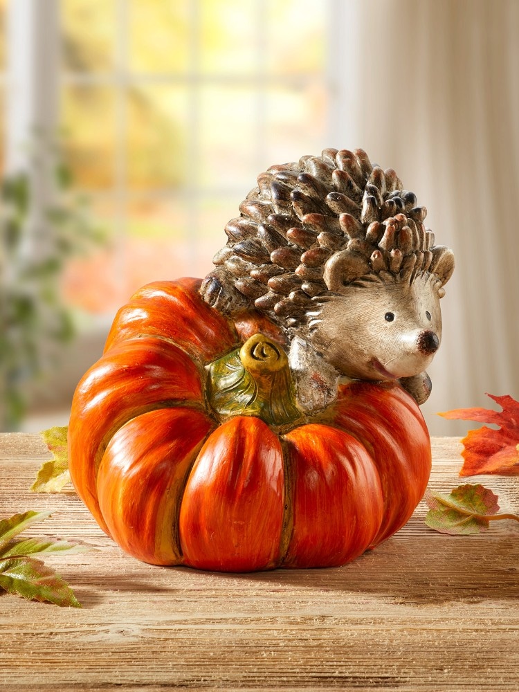 Kürbis mit Igel ca. 11 cm Angebot bei Norma