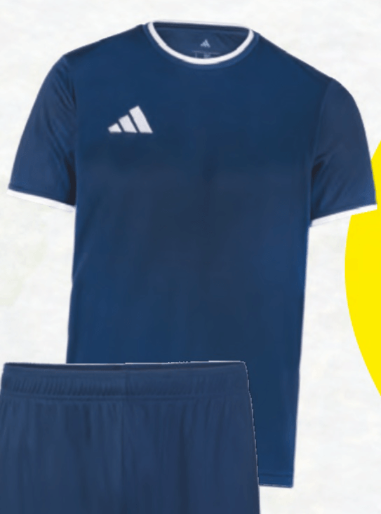 Adidas Damen-/Herren-T-Shirt Angebot bei Hofer