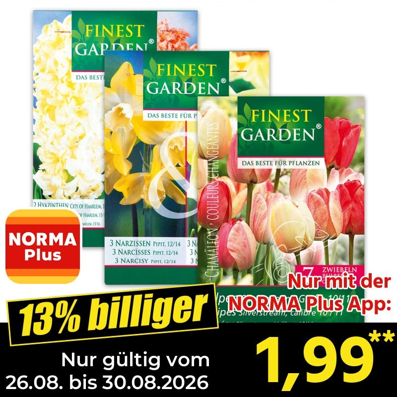 Blumenzwiebeln „Farbsensation“ oder „Chamäleon“ Angebot bei Norma