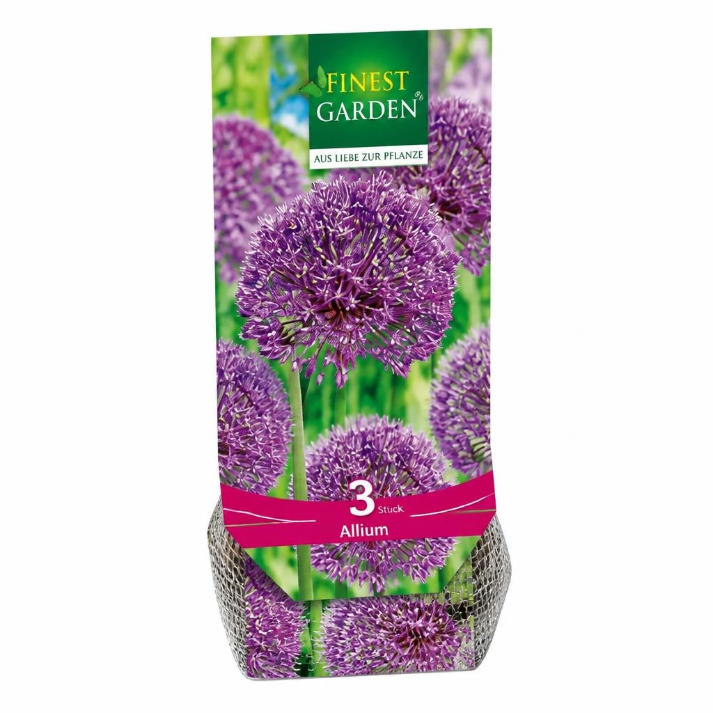 Allium FINEST GARDEN Angebot bei Norma