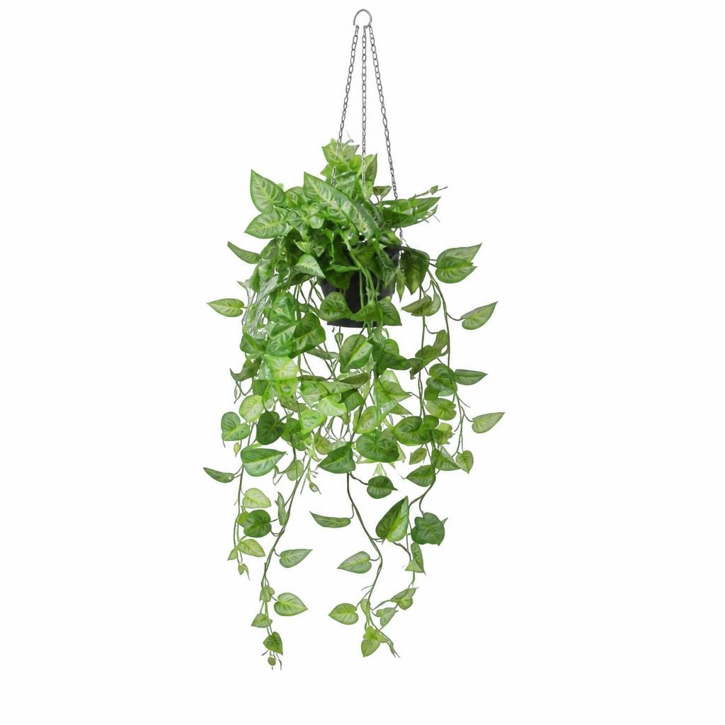 Kunstpflanze SYNGONIUM Angebot bei Mömax