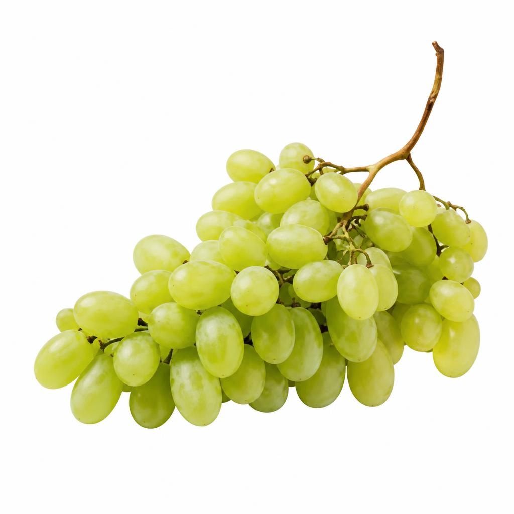 Trauben Weiss Kernlos 1 kg Angebot bei Penny