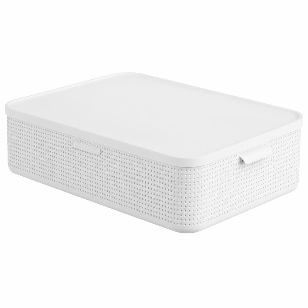 Rotho Box mit Deckel M Angebot bei Interspar