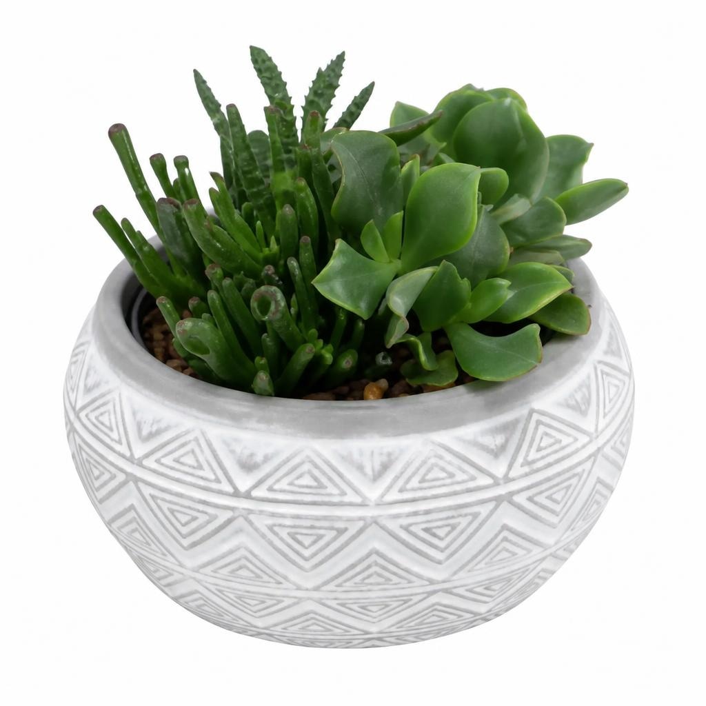Sukkulentenschale „Marrakesh“ Ø-Schale: 18 cm, H ca. 12 - 20 cm Angebot bei Hofer