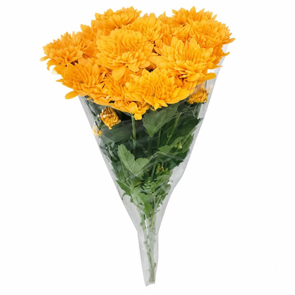 Chrysanthemen im Bund 3 Stiele ca. 50-cm-lang Angebot bei Penny