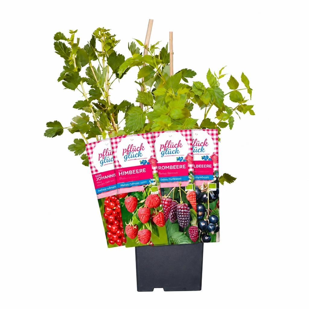 Beerenobst Pflück Glück Angebot bei Lagerhaus