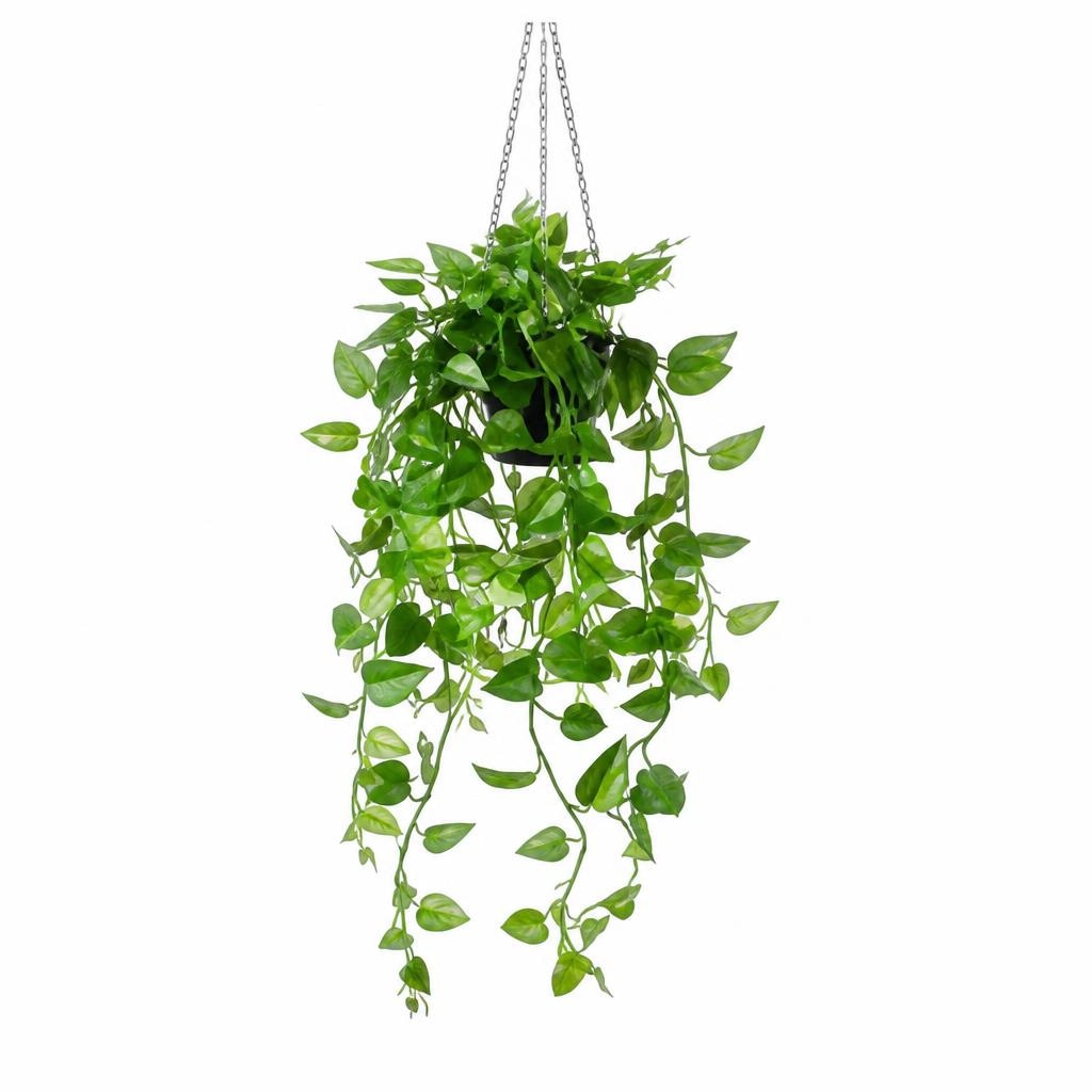Kunstpflanze PHILODENDRON Angebot bei Mömax