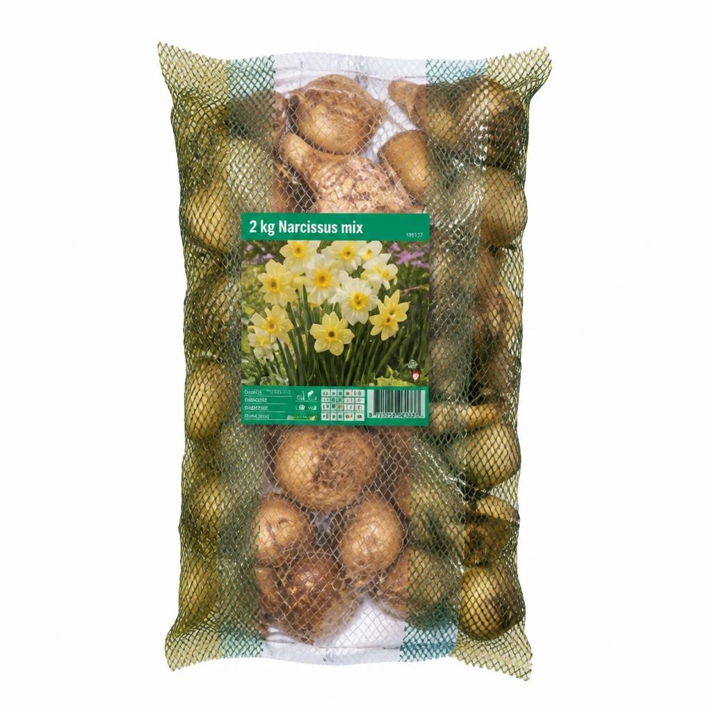 Narzissenzwiebeln 2 kg Angebot bei Lidl