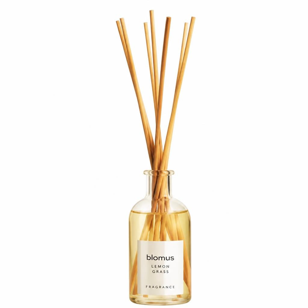 Diffuser 100 ml Angebot bei Reiter