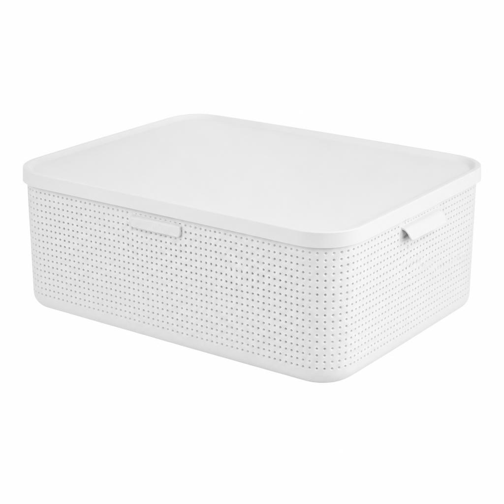 Rotho Box L Angebot bei Interspar