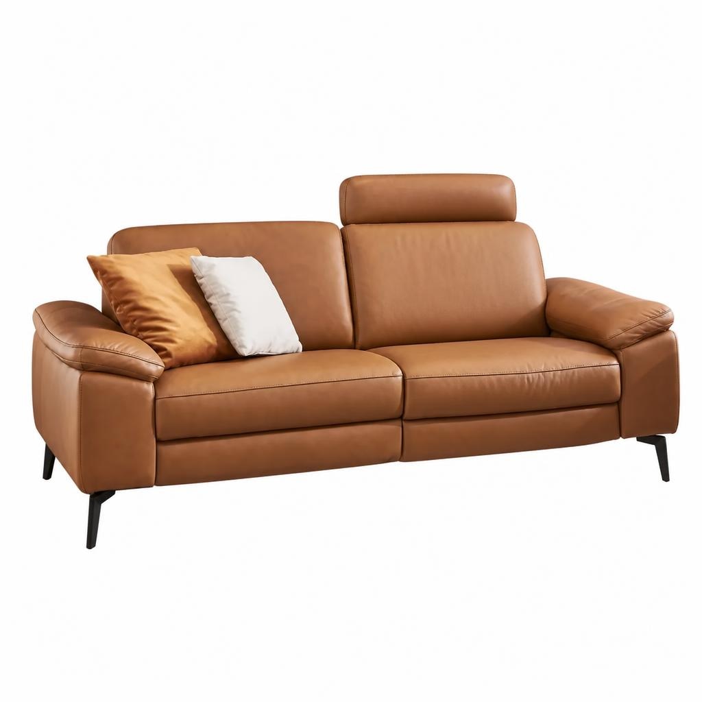 2,5-Sitzer Ledersofa Angebot bei XXXLutz