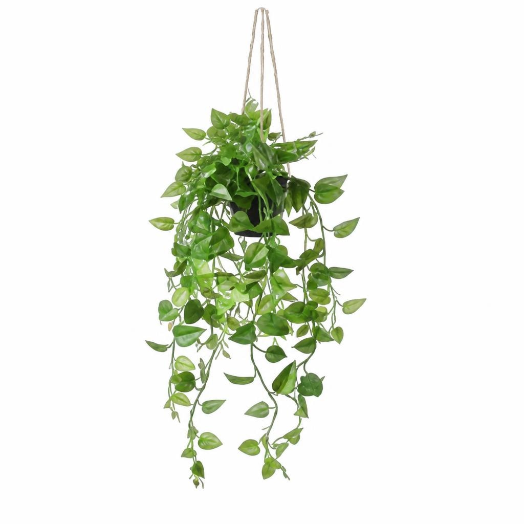 Kunstpflanze SPLITPHILODENDRON Angebot bei Mömax