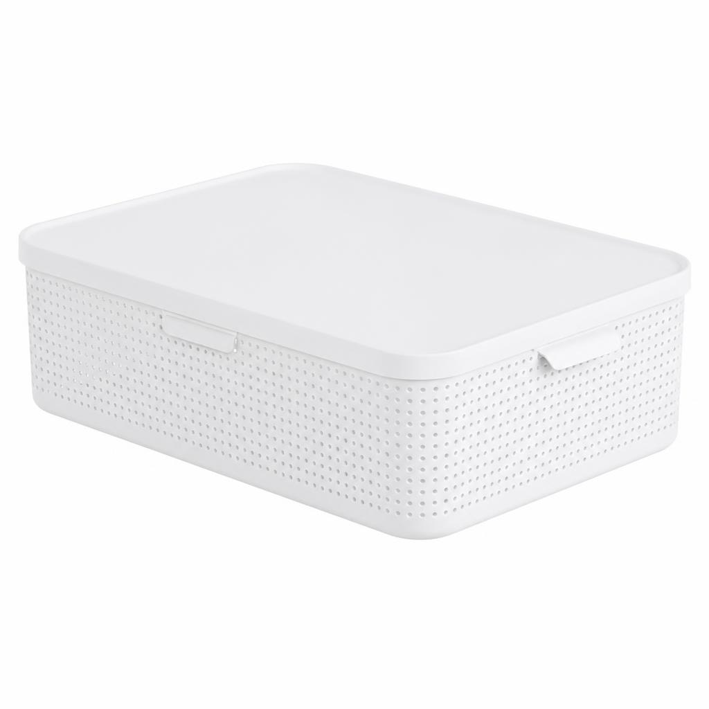 Rotho Box M Angebot bei Interspar