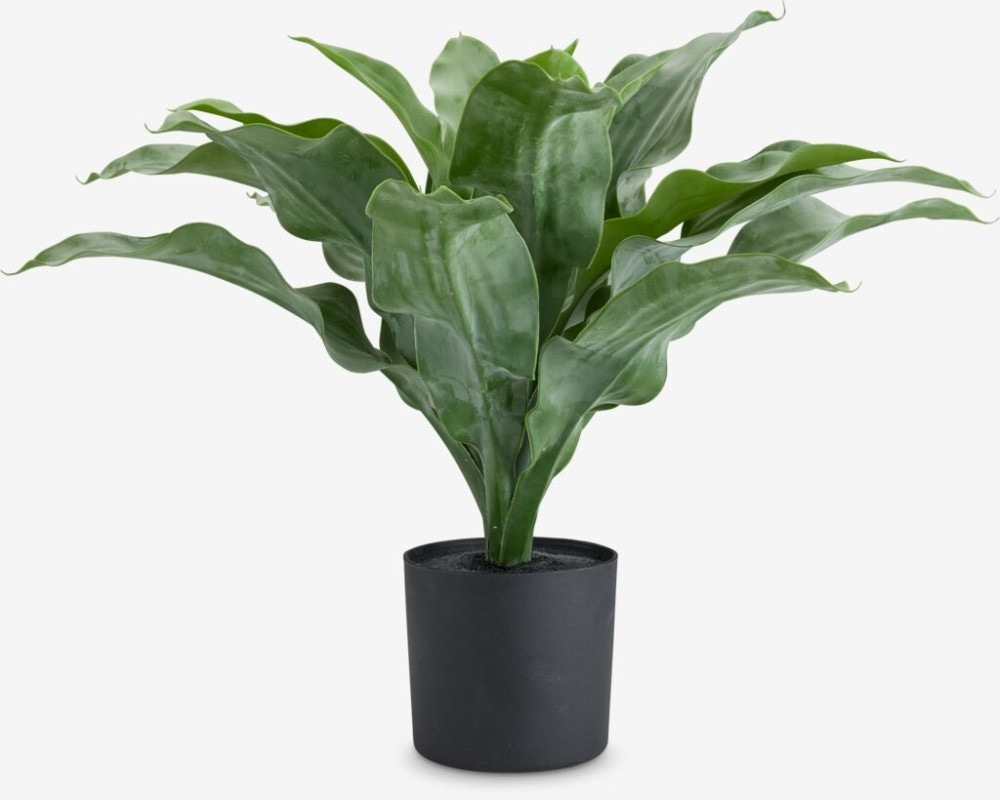 Kunstpflanze Eriksen Ø49 x H44 cm Angebot bei Jysk