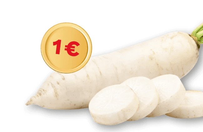 Rettich weiß, per Stück – MPREIS