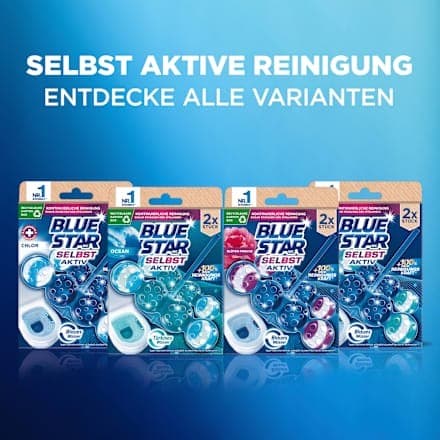 Bluestar WC Steine, 2er 100 g – Müller