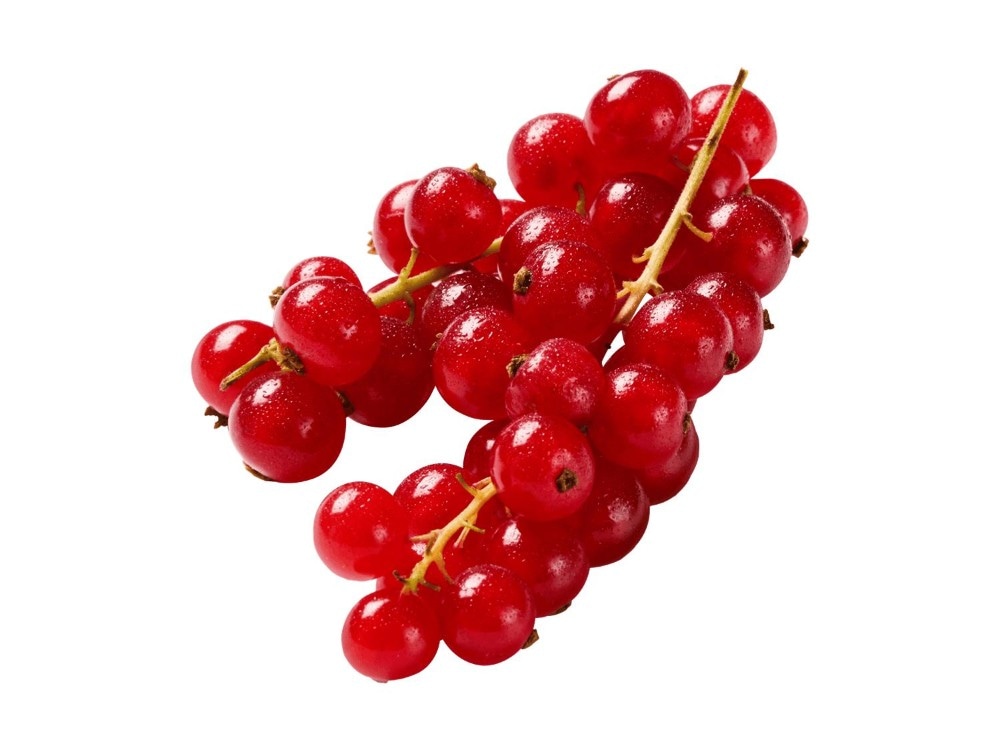 Ribiseln 500 g Angebot bei Lidl