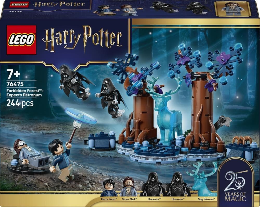 LEGO Harry Potter 76475 Verbotener Wald – Maximarkt