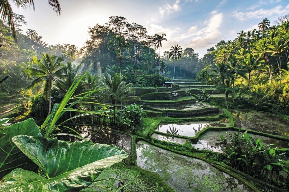 Bali Rundreise & Baden 14 Tage Angebot bei Lidl Reisen