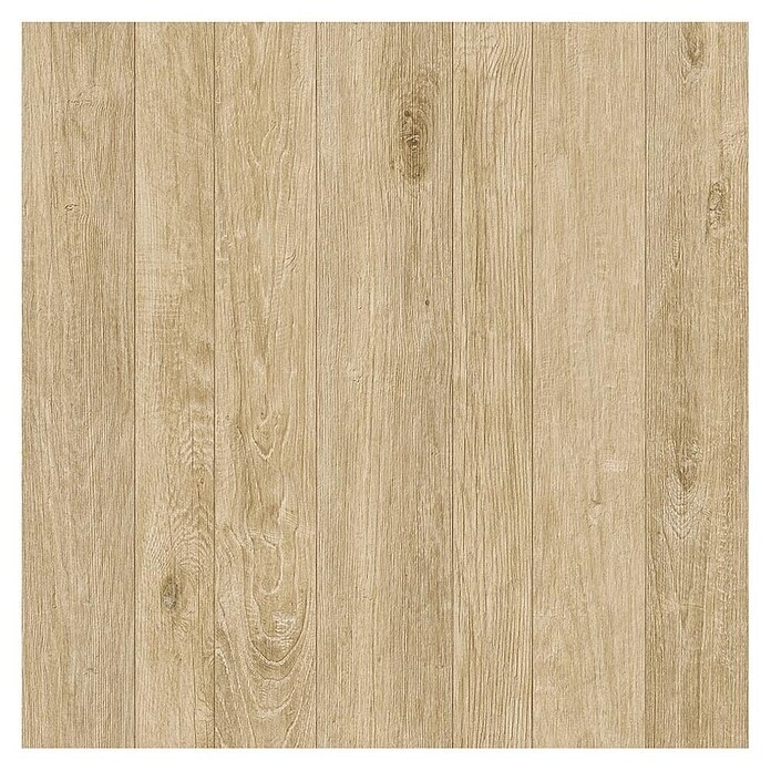 Feinsteinzeugfliese Kortex Golden Dogato 60 x 60 cm x 20 mm Angebot bei Bauhaus