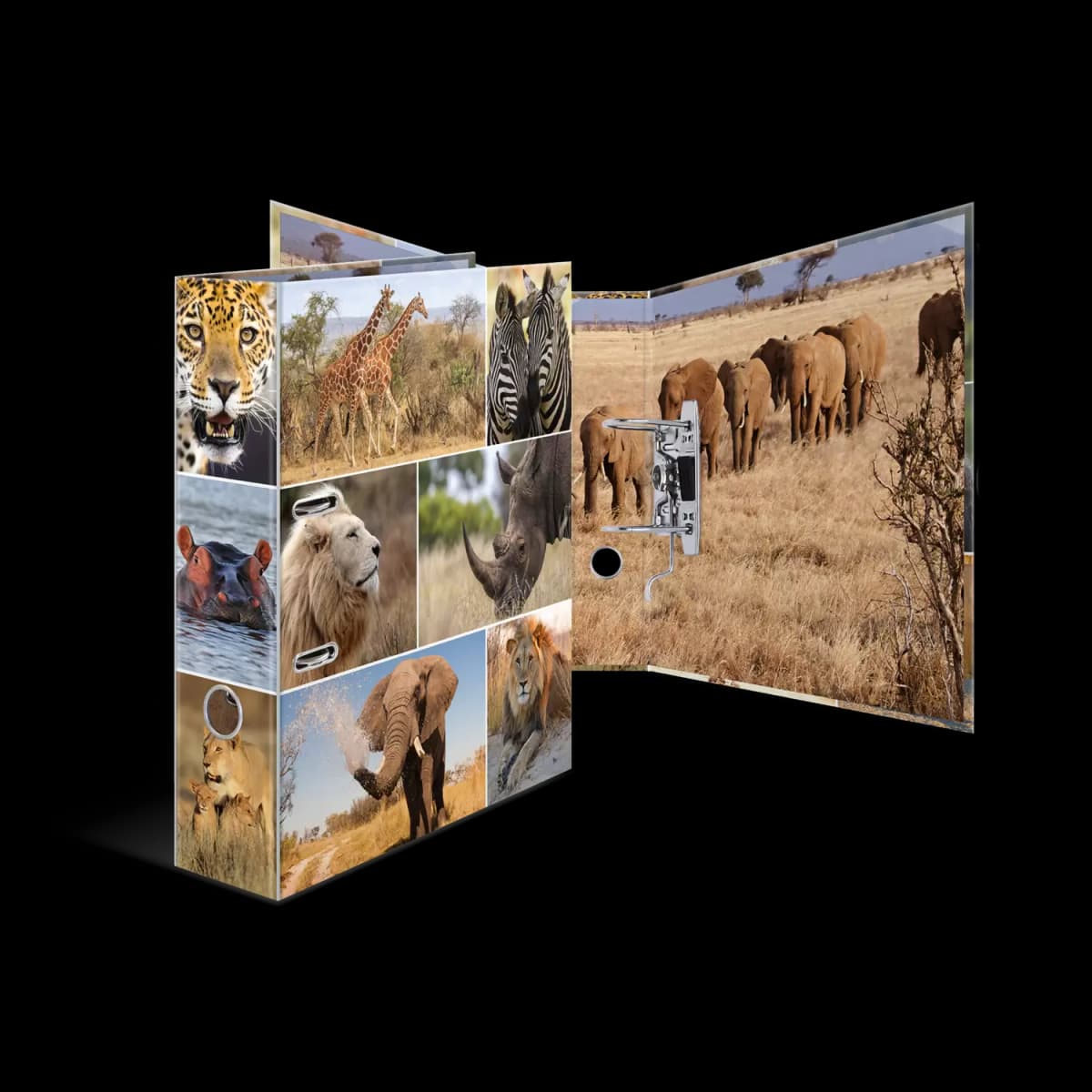 Motiv-Ordner Tiermotive Rückenbreite 70 mm Angebot bei Müller