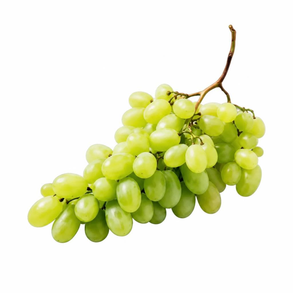 Trauben, Weiss Kernlos, 500 g – Penny
