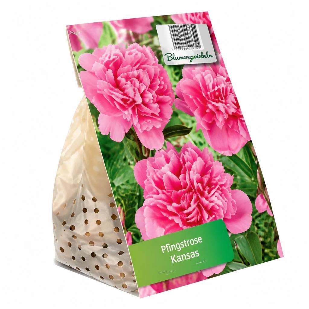 Blumenzwiebeln Pfingstrosen – Hofer