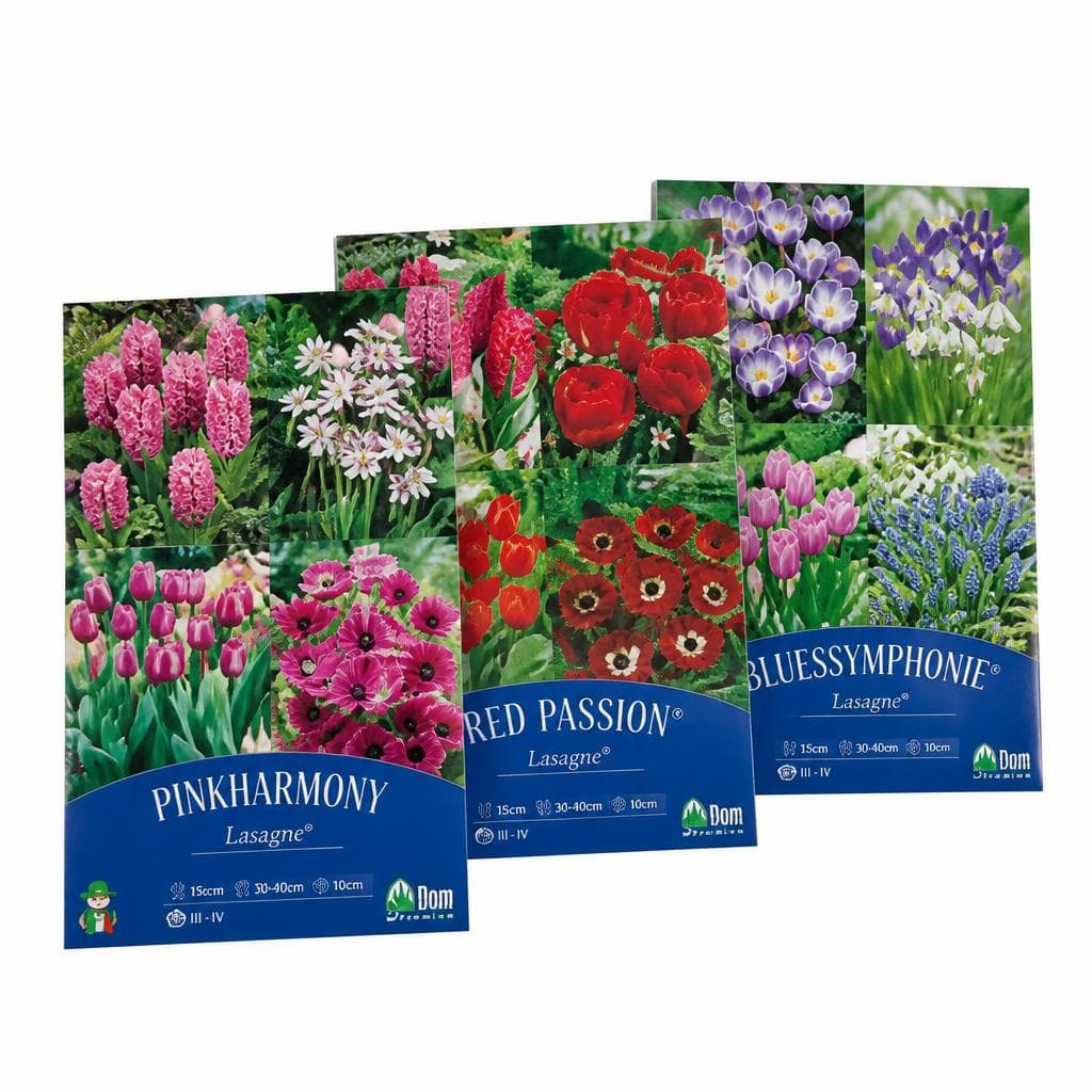 Blumenzwiebeln "Lasagne" – Interspar